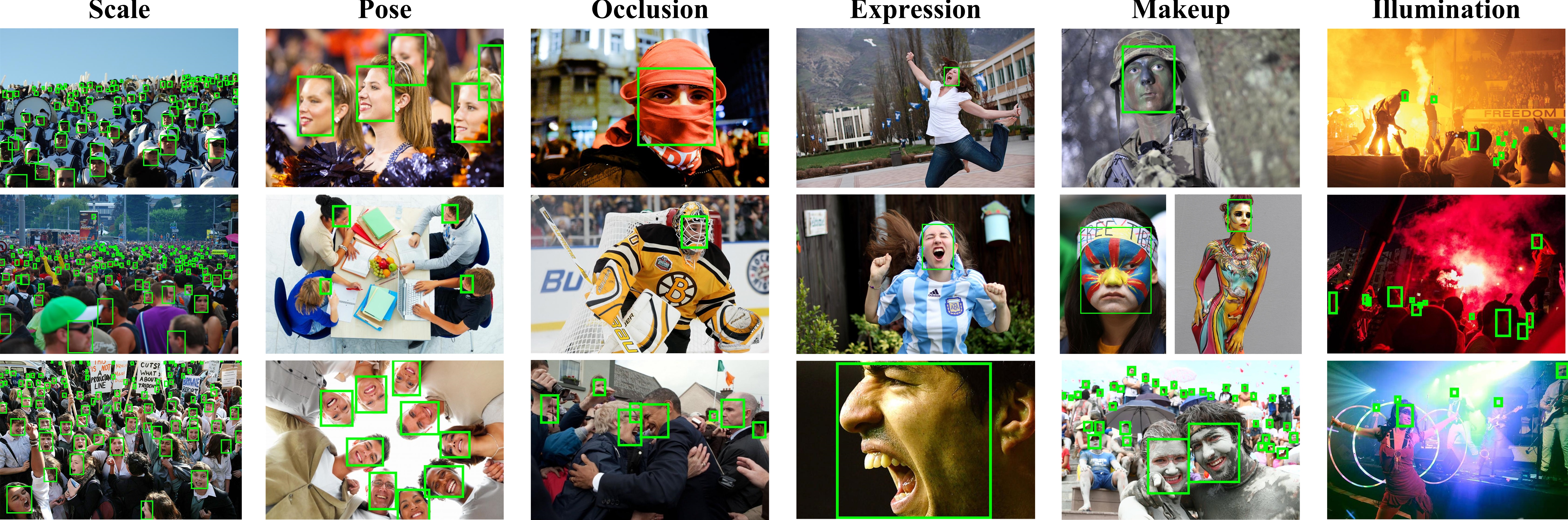 _images/WIDER-1.jpg