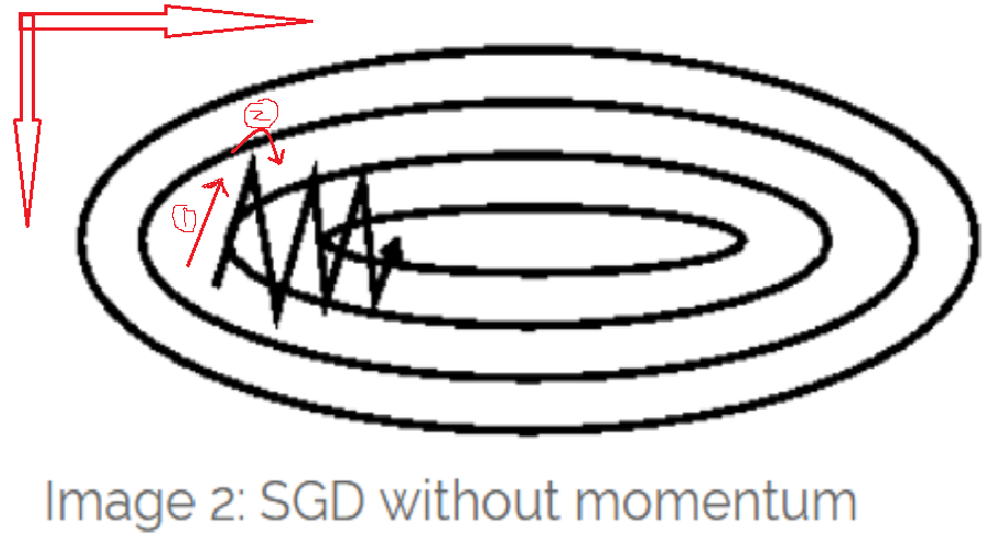 _images/sgd-no-momentum.png